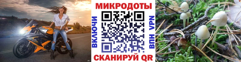 Псилоцибиновые грибы MAGIC MUSHROOMS  Суворов 